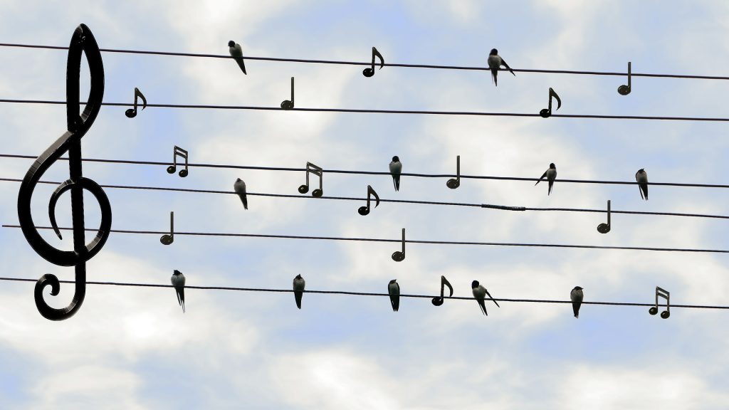 Picture of bird on electrical wires with music key